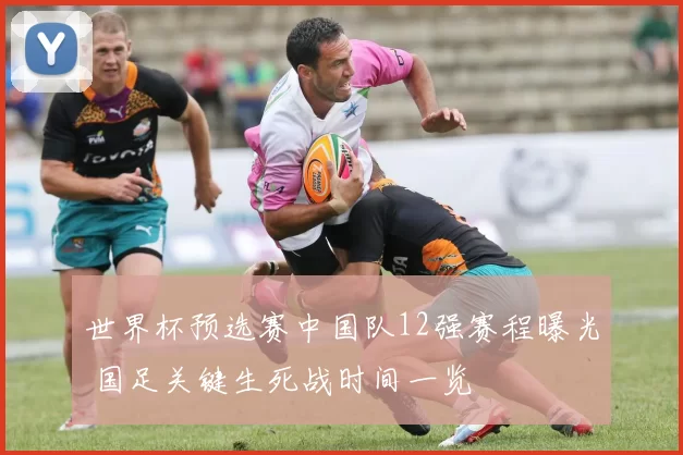 世界杯预选赛中国队12强赛程曝光 国足关键生死战时间一览
