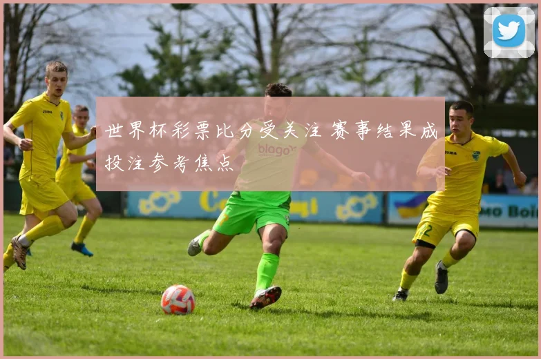 世界杯彩票比分受关注 赛事结果成投注参考焦点