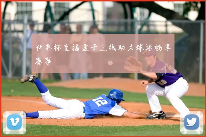 世界杯直播盒子上线助力球迷畅享赛事