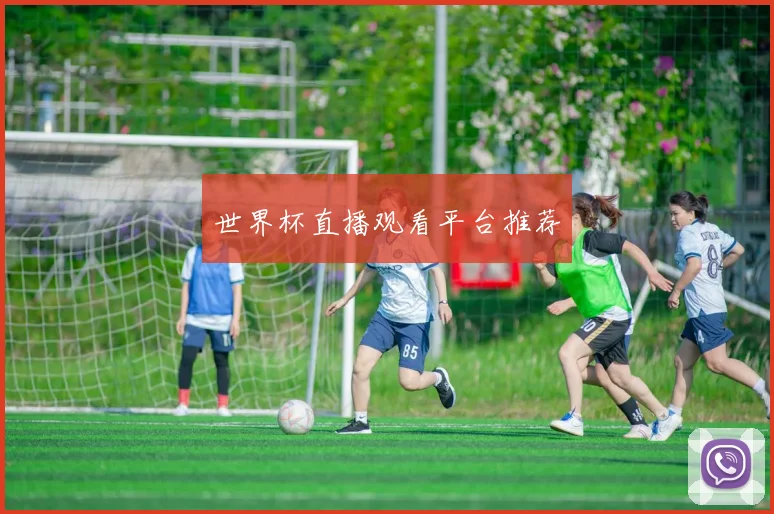 世界杯直播观看平台推荐